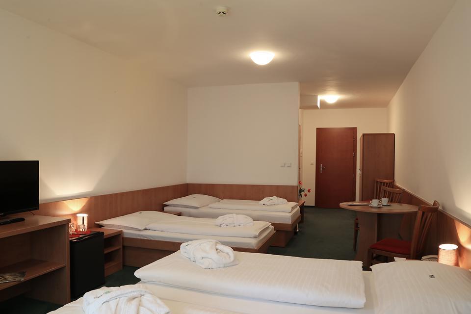 פראג Hotel Popelka חדר תמונה